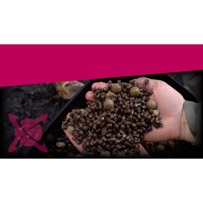 CC Moore odyssey xxx session pack