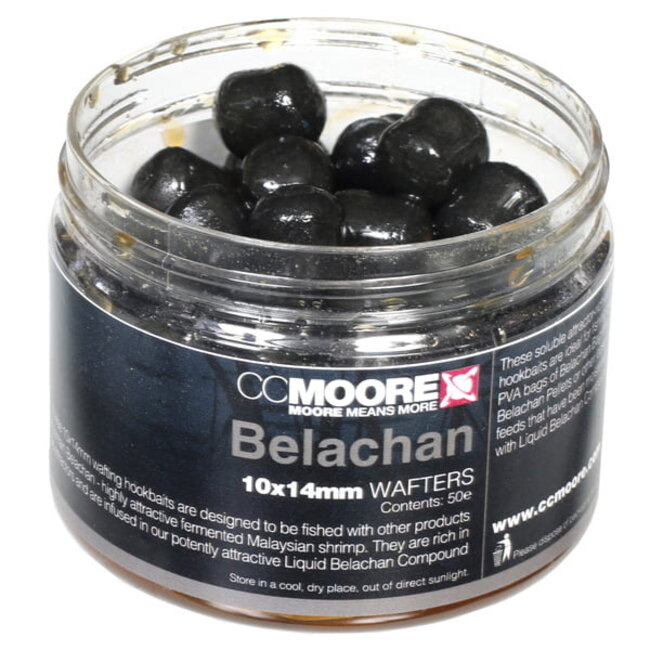 ccmoore belachan hookbait wafters