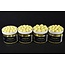 CC Moore elite pop up range citrus zest 12mm  **laatste kans**