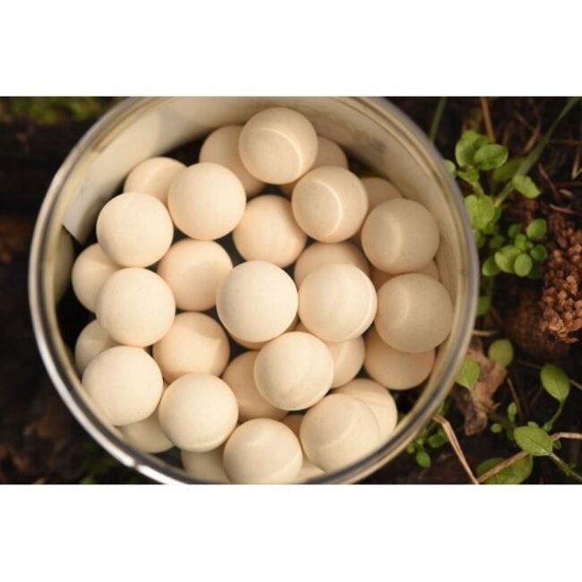 CC Moore ns1 white pop ups