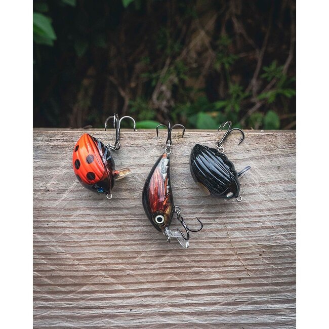 salmo chub pack