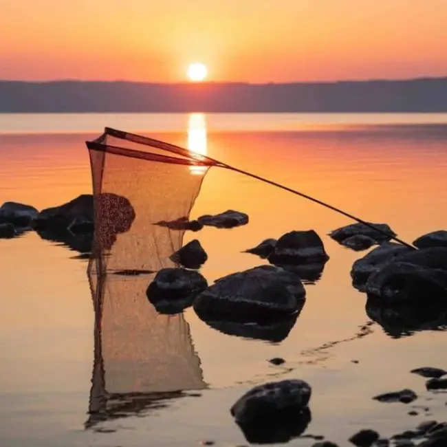 nash air force f40 landingsnet 46"