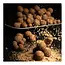 nash monster shrimp hard hookbaits **pre-order**