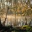 nash  scope cork carp rod **laatste kans**