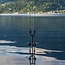 nash scope abbreviated carp rod