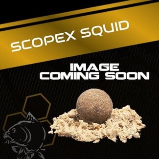 nash scopex squid wafters