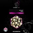 nash citruz boilies 1kg (versie 2024)