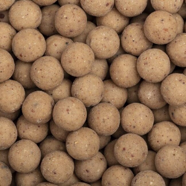 Bouillettes Pop-Up Nash Citruz White - 15 Mm, Appâts Flottants Pour La Pêche à La Carpe