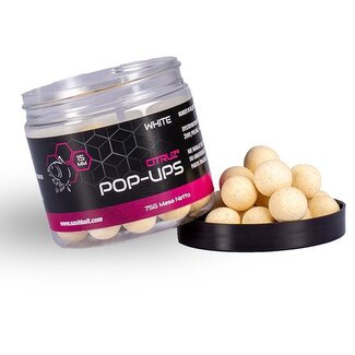 nash citruz pop ups (versie 2024)