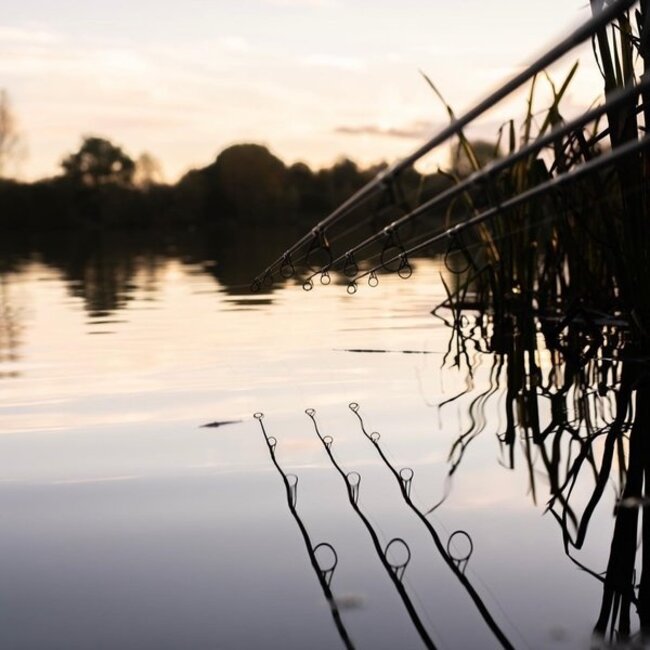 nash x series carp rod