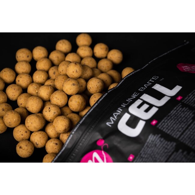 mainline shelf live boilies the cell 5kg
