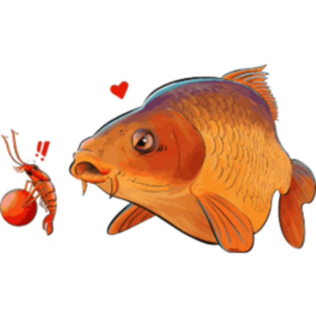 cuyten boilies drukz boilies 1kg