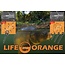 life orange bait spikes