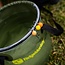 ridgemonkey perspective collapsible bucket
