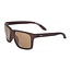 fortis eye wear bays switch brown