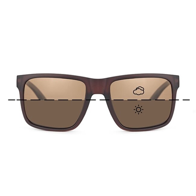 fortis eye wear bays switch brown