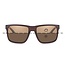 fortis eye wear bays switch brown