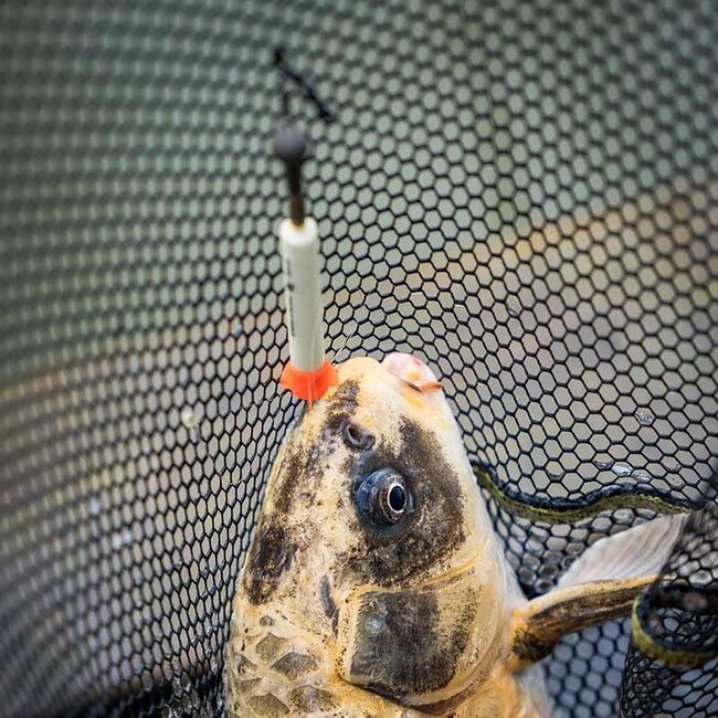 matrix foam pellet waggler