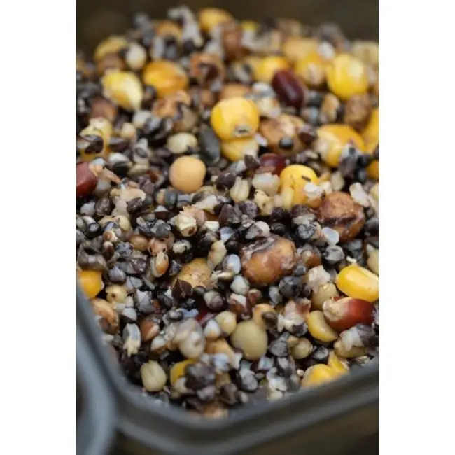 korda kontainer bait storage system