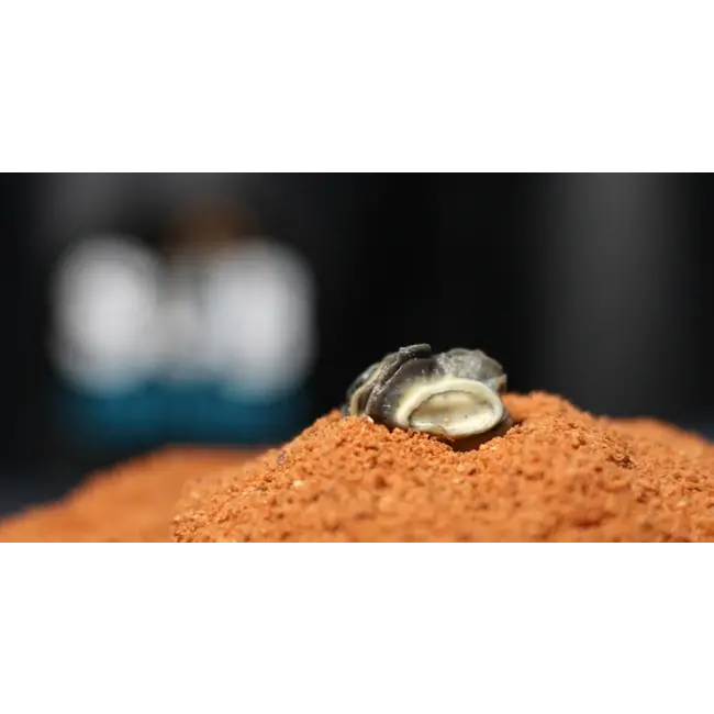 sub grubs snails hookbaits