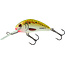 salmo perch pack