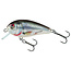 salmo perch pack