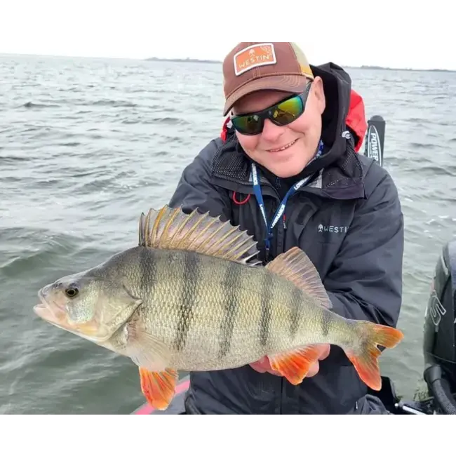 westin hillbilly trucker cap