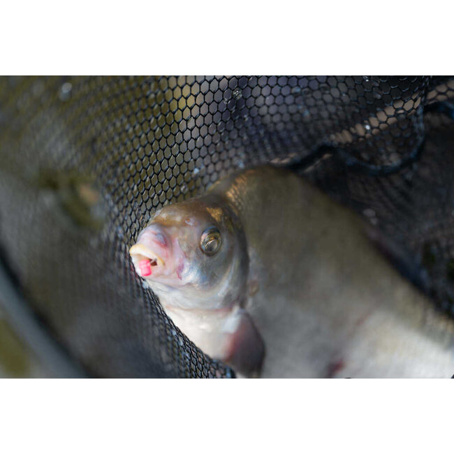 preston floating disgorger - baiting needle