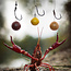 korda plastic slow sinking boilie - cell