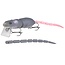 spro bbz rat 50