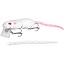 spro bbz rat 50