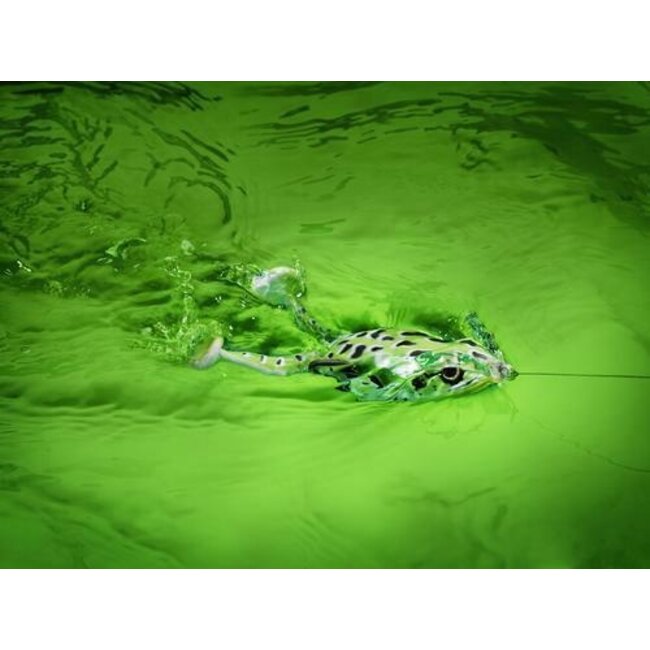 spro flappin frog 65