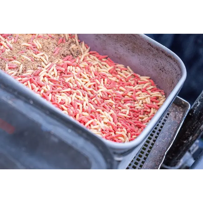 guru ventilator combo 5