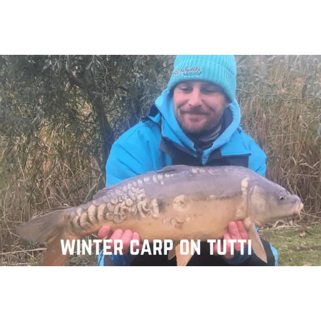 hinders betalin tutti frutti