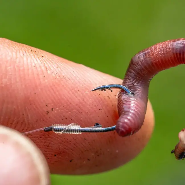 preston natural n-60 barbed