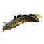 savage gear 3d burbot shallow