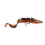 savage gear 3d burbot shallow