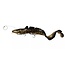 savage gear 3d burbot shallow
