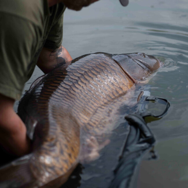 ridgemonkey procare retainer sling