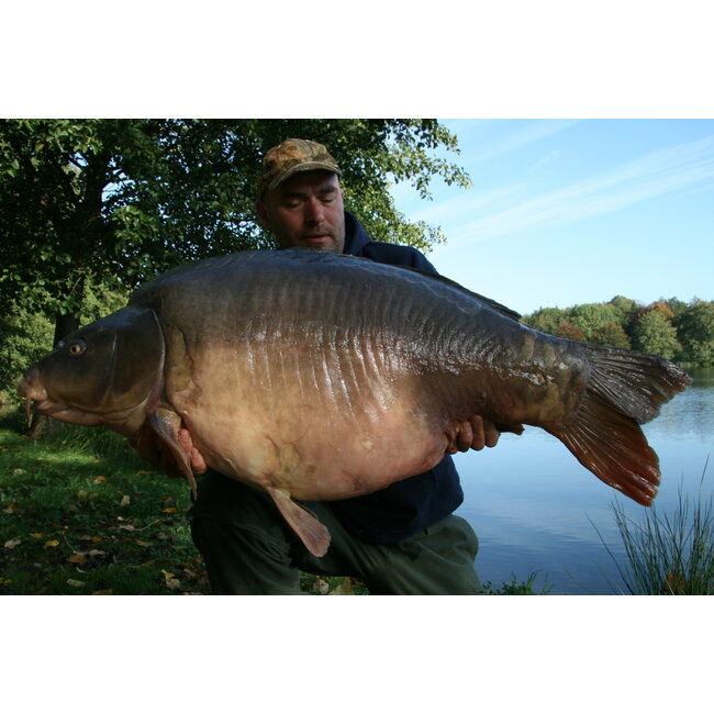 matrix aquos ultra power handle 3 meter