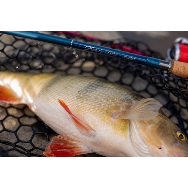 abu garcia fantasista nano rod