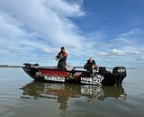 Voorjaarskriebels…