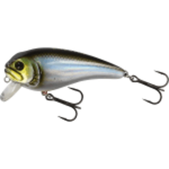 westin fatbite crankbait floating