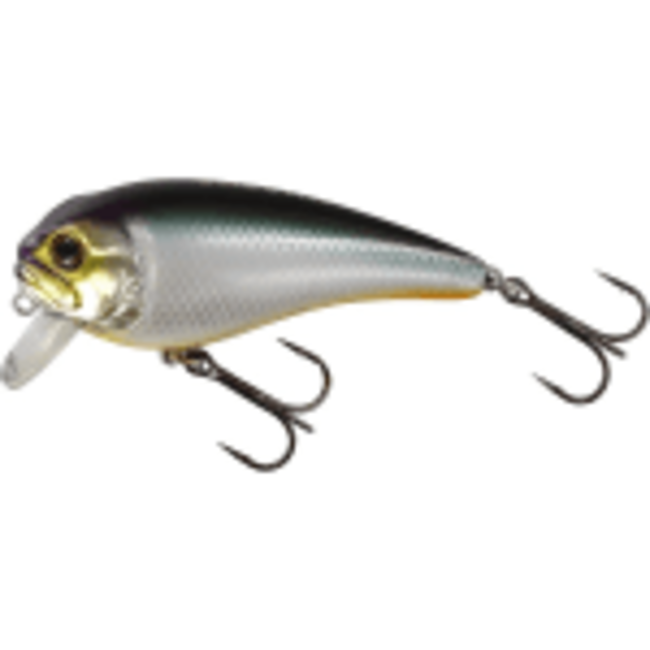 westin fatbite crankbait floating