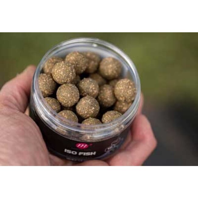 mainline iso fish dedicated wafters