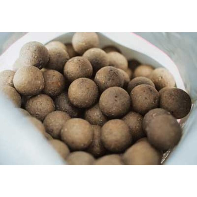 Mainline shelf live boilies iso fish 5kg