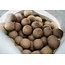 Mainline shelf live boilies iso fish 5kg