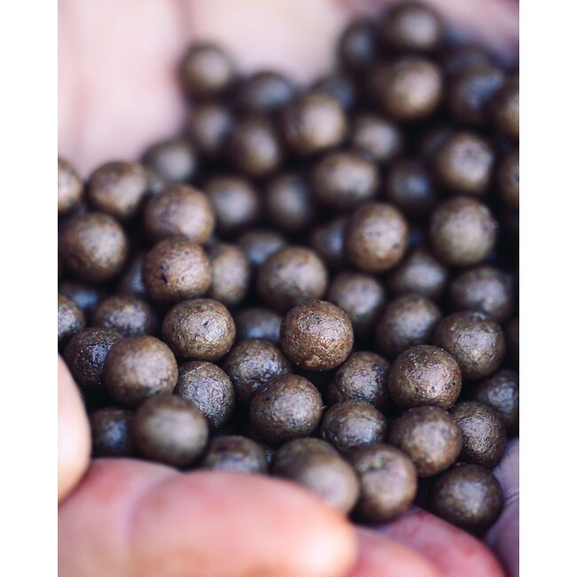 Mainline shelf live boilies iso fish 5kg