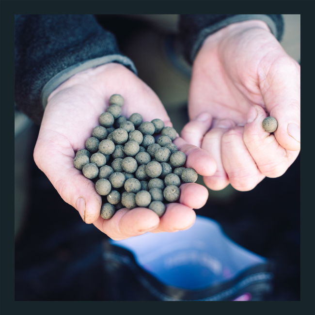 mainline iso fish 5kg