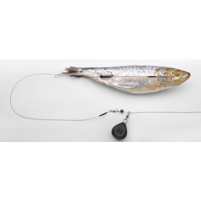 spro deadbait ready to go bottom kit